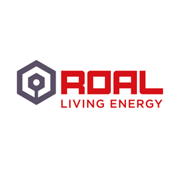 Источники питания и преобразователи напряжения ROAL LIVING ENERGY